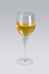 Image showing wine glass in grey back