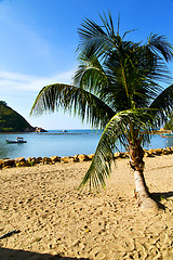 Image showing   asia in   bay the  koh phangan  isle  