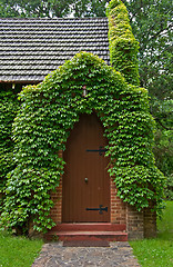 Image showing vine covered church building
