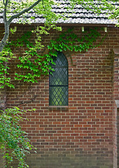 Image showing vine covered church building