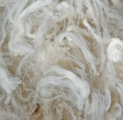 Image showing wool background