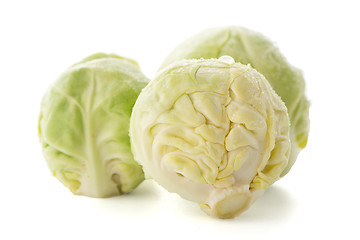 Image showing Fresh brussels sprouts