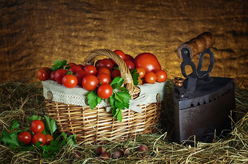 Image showing Harvest of Cherry Tomatoes