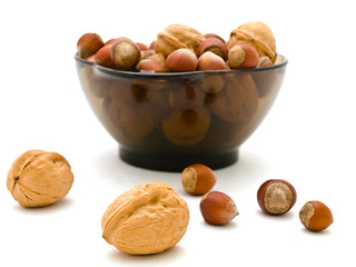 Image showing Hazelnuts and Walnuts