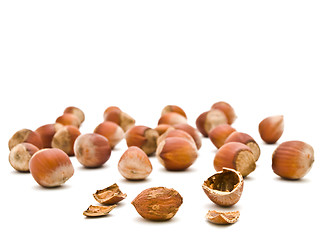 Image showing Hazelnuts