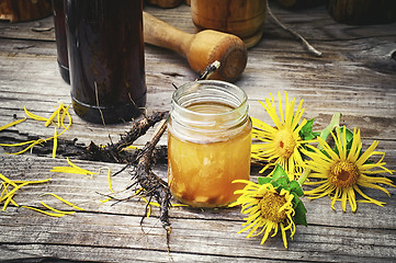 Image showing Tincture of elecampane