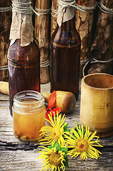 Image showing Tincture of elecampane