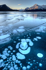 Image showing Abraham Lake Winter