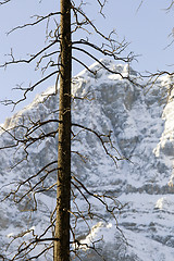 Image showing Rocky Mountains in Winter Canada