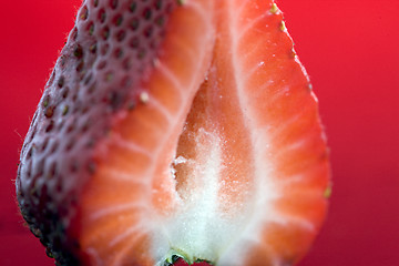 Image showing Strawberry Macro Red