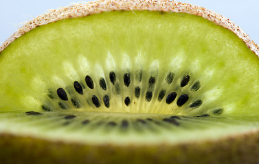 Image showing Kiwi Fruit Macro