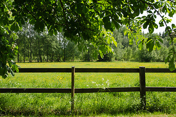 Image showing Green field behind a fence