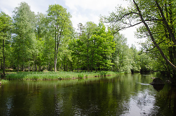 Image showing Spring by a small river