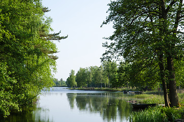 Image showing Green summer view by a lake