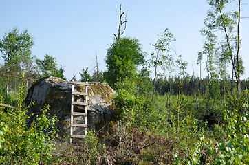 Image showing Wooden ladder by a big rock
