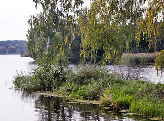 Image showing Landscape with the image of the river and the surrounding nature