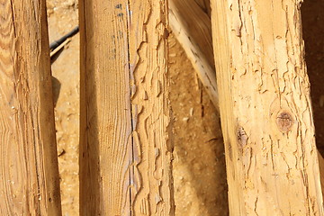 Image showing construction wooden beams destroyed by insect attack