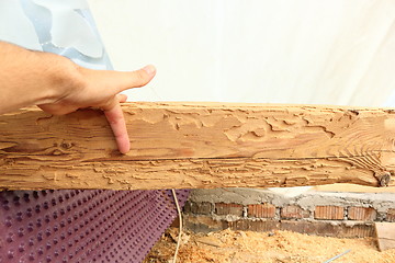 Image showing wooden beam showing insect attack