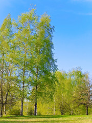 Image showing Spring Landscape