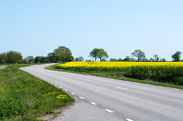 Image showing Road in a spring colored landscape