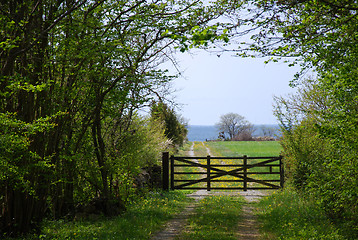 Image showing Old wooden gate in a spring green landscape