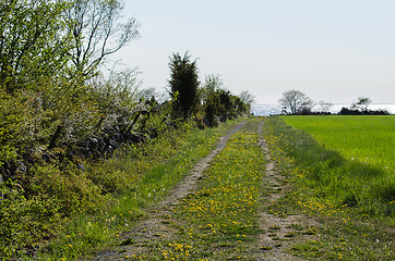 Image showing Country road to the coast