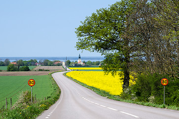 Image showing Road to the village at spring