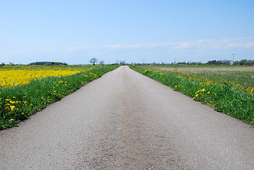 Image showing Road in a rural at spring landscape