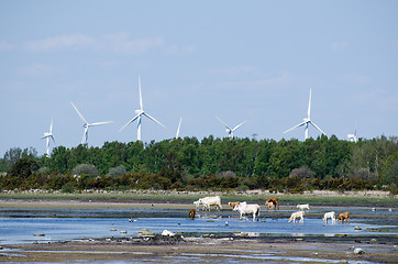 Image showing Landscape with renewable resources