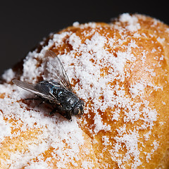 Image showing fly on the dessert