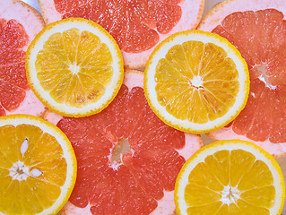 Image showing Orange and grapefruit rings background