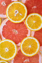 Image showing Orange and grapefruit rings background