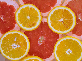 Image showing Orange and grapefruit rings background