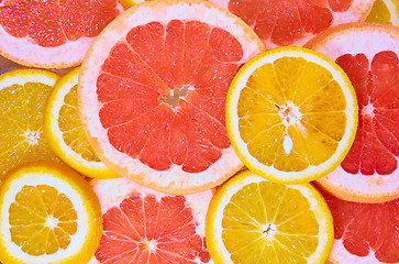 Image showing Orange and grapefruit rings background