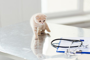 Image showing close up of scottish fold kitten at vet clinic