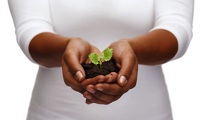 Image showing african american woman hands holding plant in soil