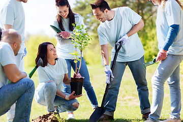 Image showing group of volunteers planting tree in park