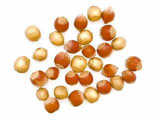Image showing Hazelnuts 