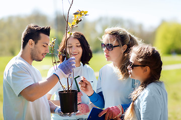 Image showing group of volunteers planting trees in park