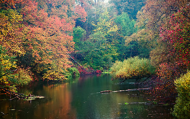 Image showing Autumn pond in the rain