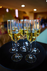 Image showing Full glasses of Champagne on tray