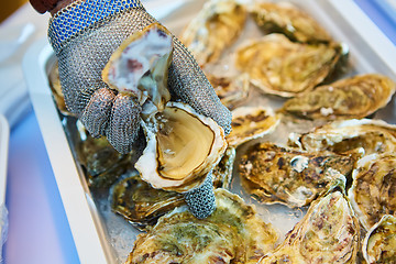 Image showing Fresh oyster held open with knife in hand