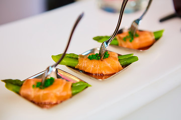 Image showing Appetizer plate of sauteed asparagus wrapped in thin slices smoked salmon