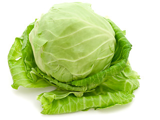 Image showing Cabbage 