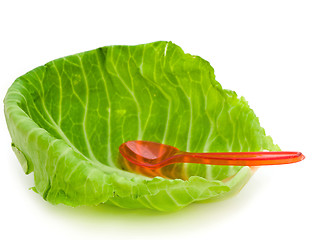 Image showing Cabbage Leaf 