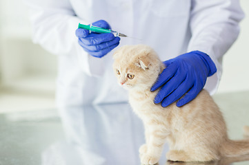 Image showing close up of vet making vaccine to kitten at clinic