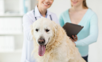 Image showing close up of vet with tablet pc and dog at clinic