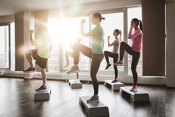 Image showing group of people working out with steppers in gym