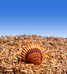 Image showing Seashell on sand