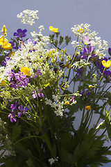 Image showing summer flowers